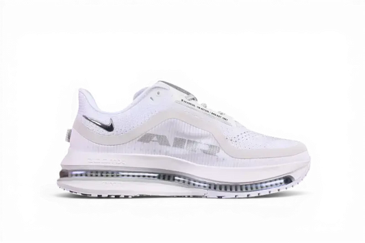 Nike Pegasus Premium White Metallic Silver Running Sneakers